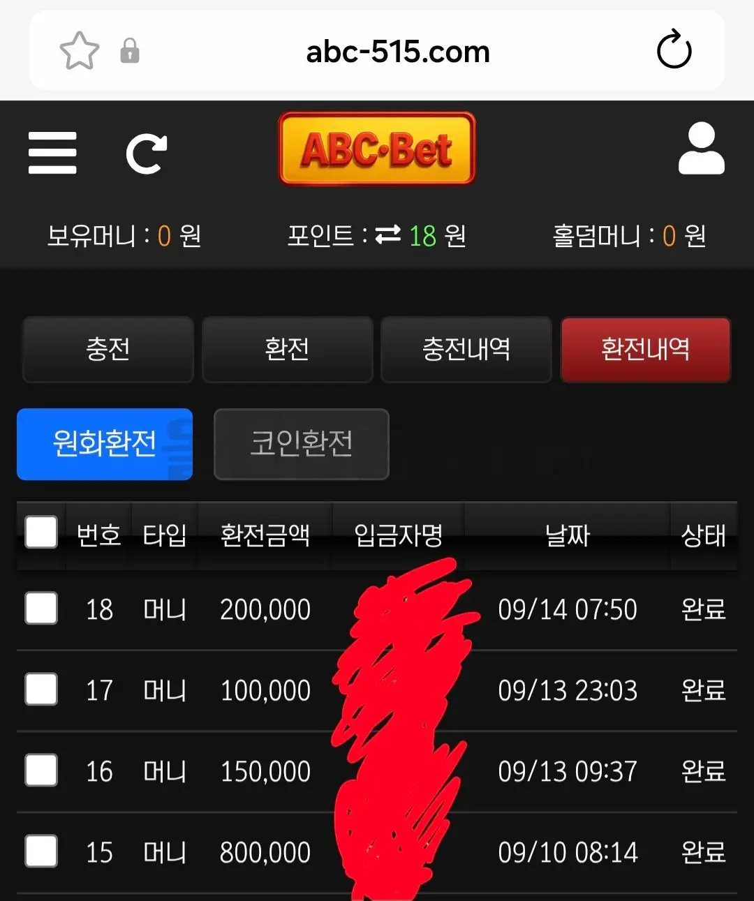 환전 인증사진