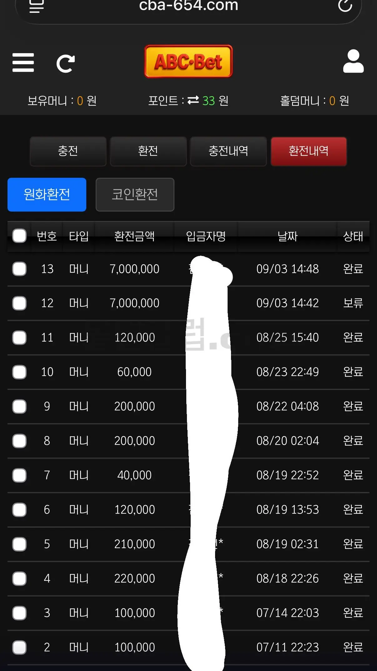 환전 인증사진