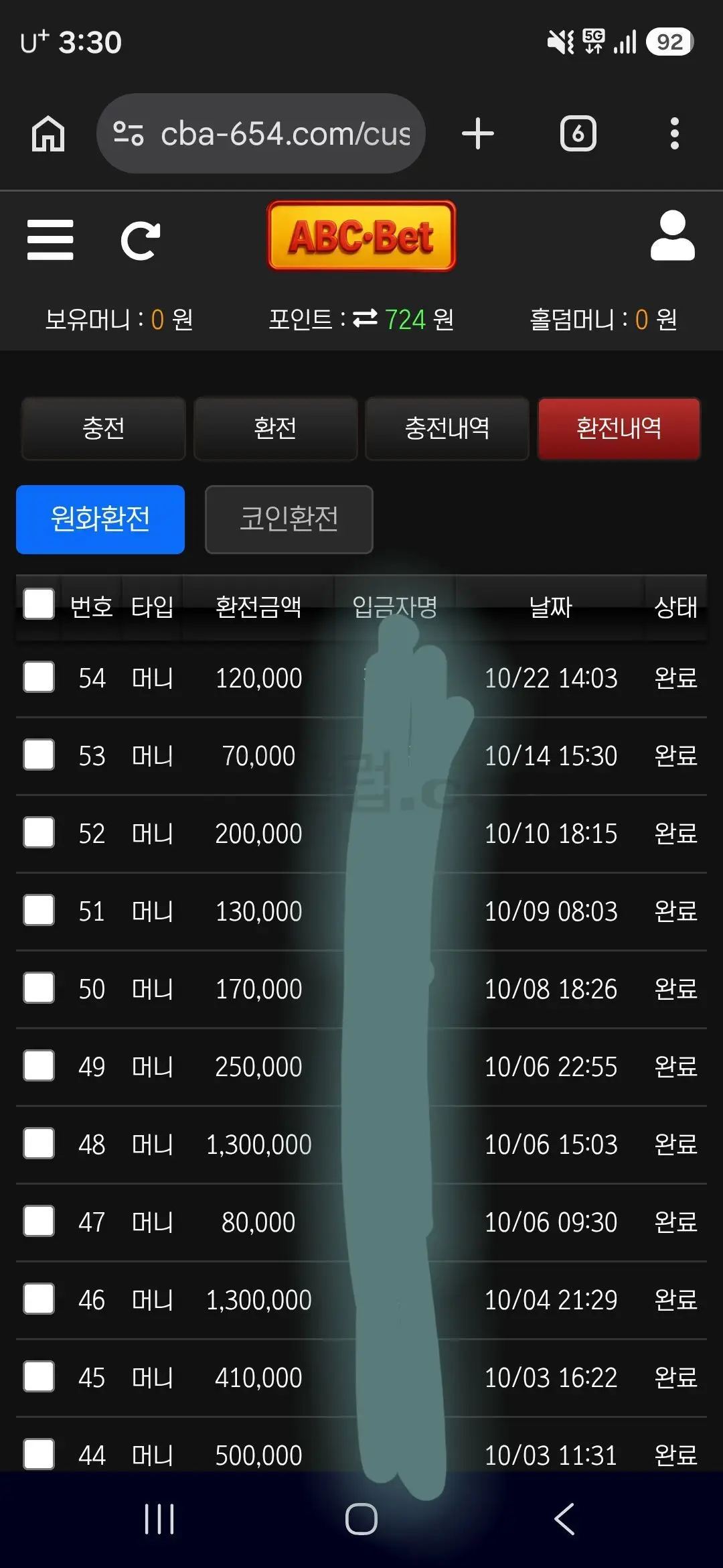 환전 인증사진